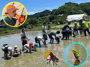 【6/20・6/21・6/28】親子で田植え体験｜あきる野・秋川の田んぼで泥んこ＆生きもの探し（東京山側DMC）
