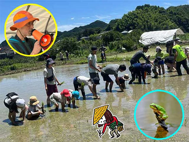 【サンプル】田んぼ月額会員