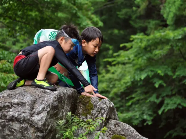 秋川渓谷の夏の川遊び体験 親子で飛び込み・川流れ・生きもの観察（東京山側DMC）
