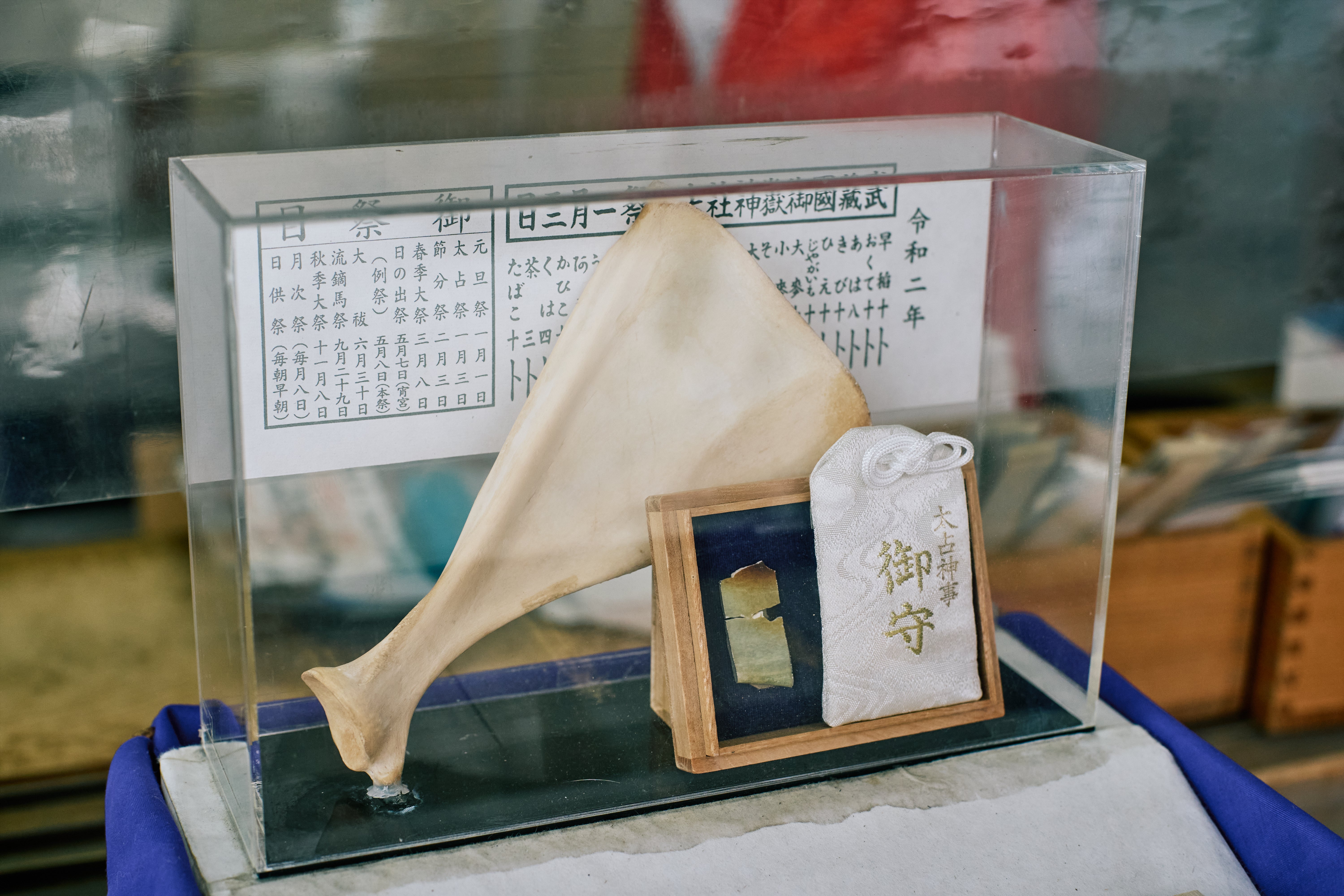 連なる山 山と道｜THREE 厳冬期にも！山での動きやすさを重視した中型