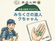 糸魚川探究3日間 親子でヒスイ・宝石探し 自然体験（東京山側DMC）