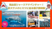 【10/3-4・10/10-11】気仙沼シャークアドベンチャー｜サメ解体見学・剥製づくり親子探究プログラム（宮城県・気仙沼／1泊2日）