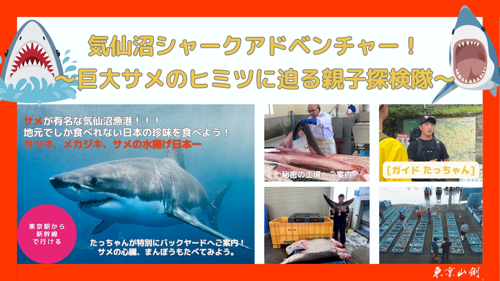 【10/3-4・10/10-11】気仙沼シャークアドベンチャー｜サメ解体見学・剥製づくり親子探究プログラム（宮城県・気仙沼／1泊2日）