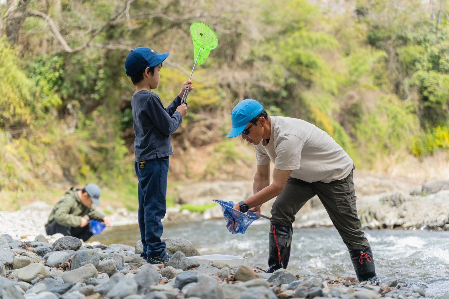 102 山採り　マンサク 102 山採り マンサク