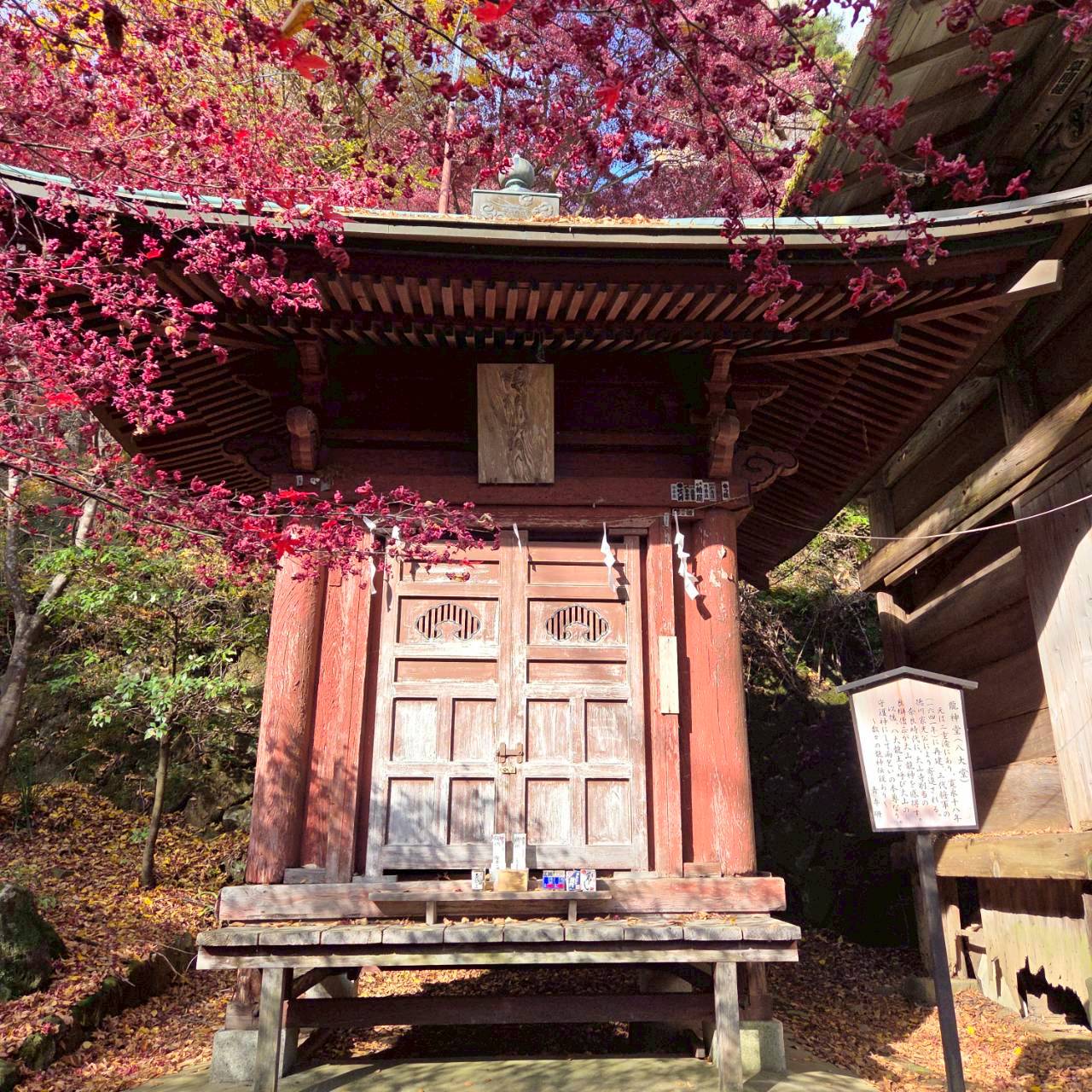 【10/22(木)開催】世界を知るオリンピック選手と登る 大山編｜東京山側 3PEAKS STEP 1