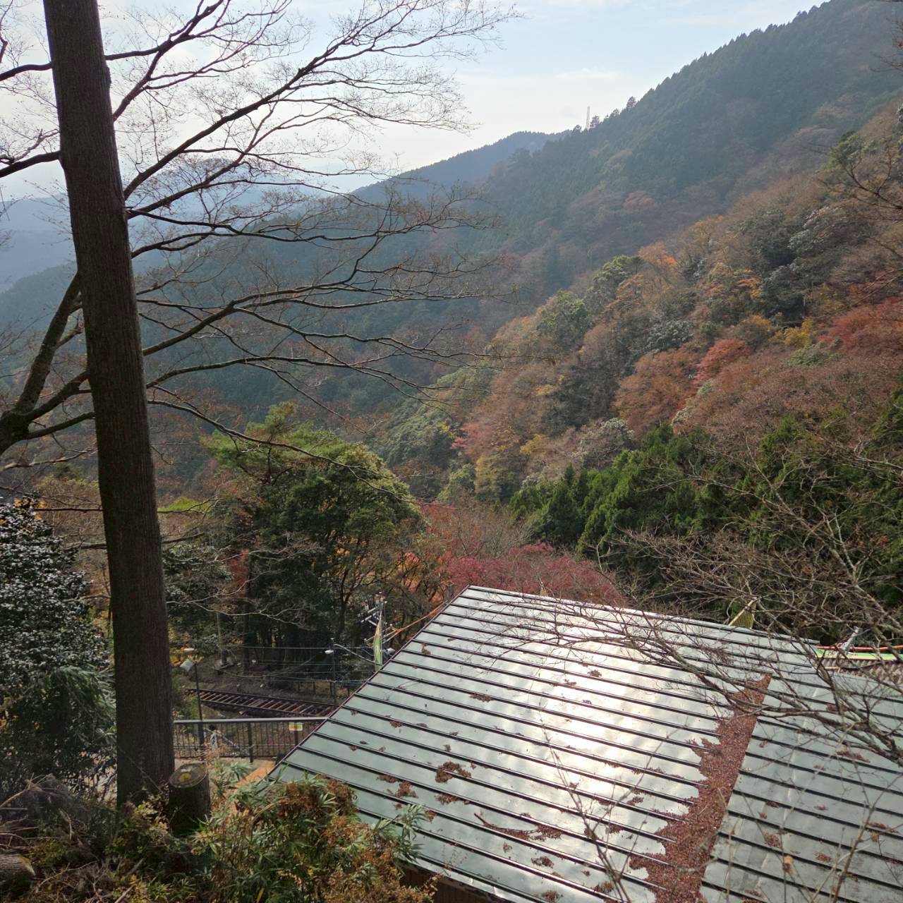 【10/22(木)開催】世界を知るオリンピック選手と登る 大山編｜東京山側 3PEAKS STEP 1