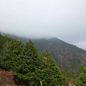 【10/22(木)開催】世界を知るオリンピック選手と登る 大山編｜東京山側 3PEAKS STEP 1