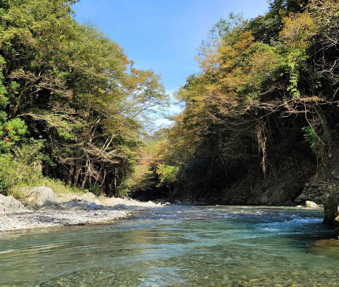 About the Tokyo mountain side – 東京山側DMC