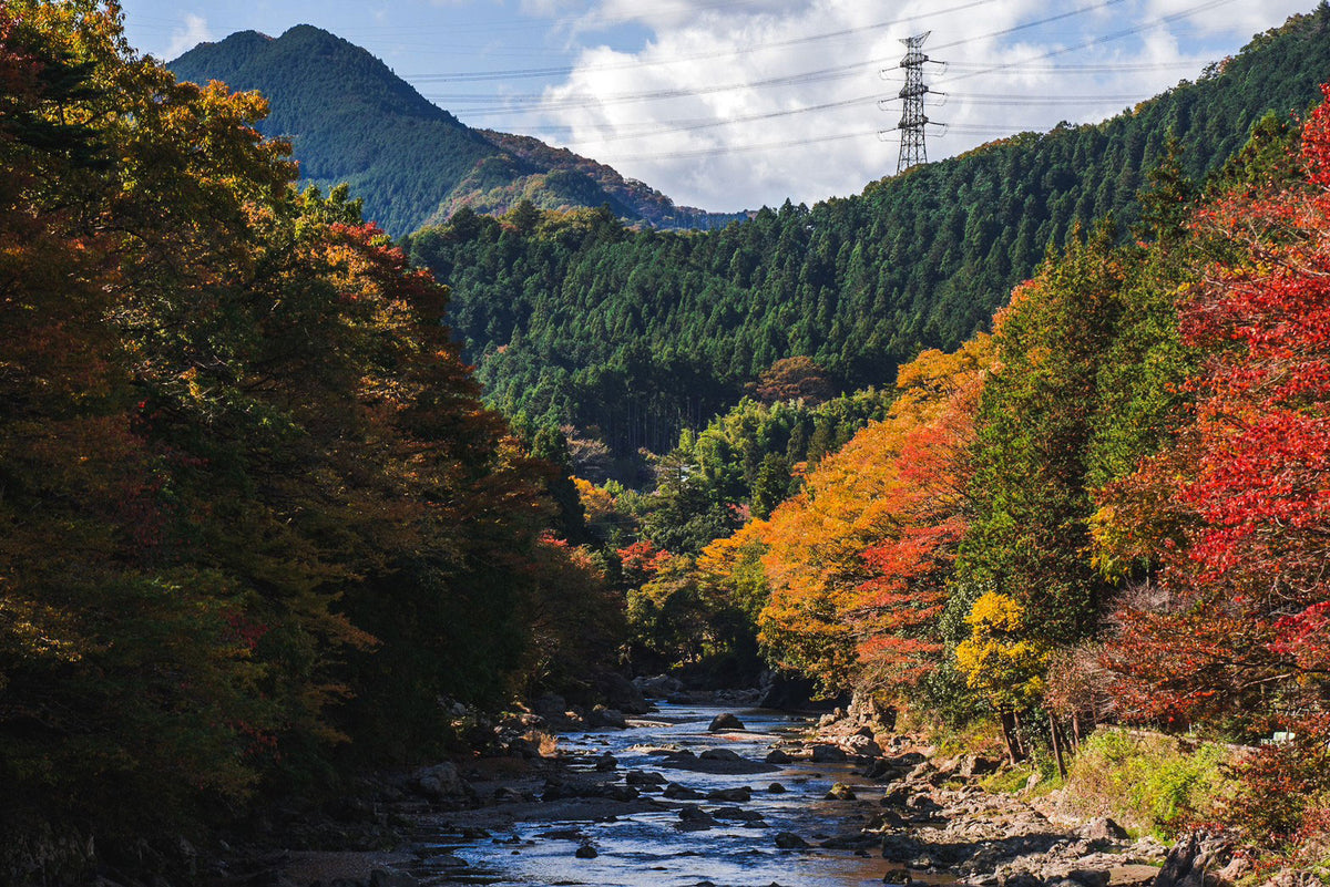 紅葉の秋川渓谷