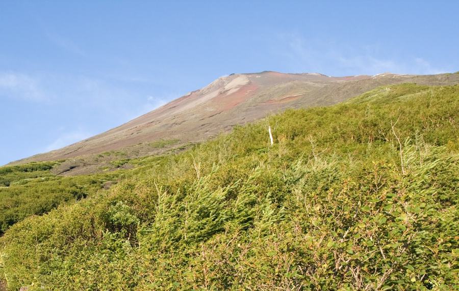 fuji-summit.jpg