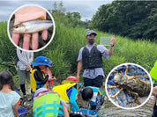 【7/18・7/25】川の生き物をキャッチ＆ウォッチ｜秋川渓谷の清流ガサガサ親子体験（あきる野市）