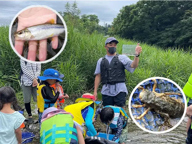 【7/18・7/25】川の生き物をキャッチ＆ウォッチ｜秋川渓谷の清流ガサガサ親子体験（あきる野市）